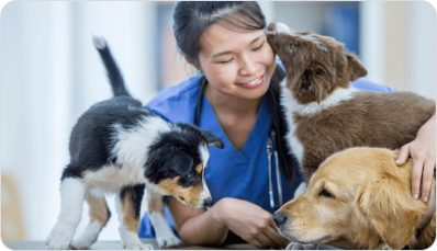 WhatsApp Marketing for Pet Care & Veterinary Services
